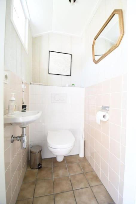 Vrijvakantiehuis Blumstraat 1 آختيكيركي المظهر الخارجي الصورة